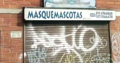 MASQUEMASCOTAS BOGOTÁ MASQUEMASCOTAS BOGOTÁ